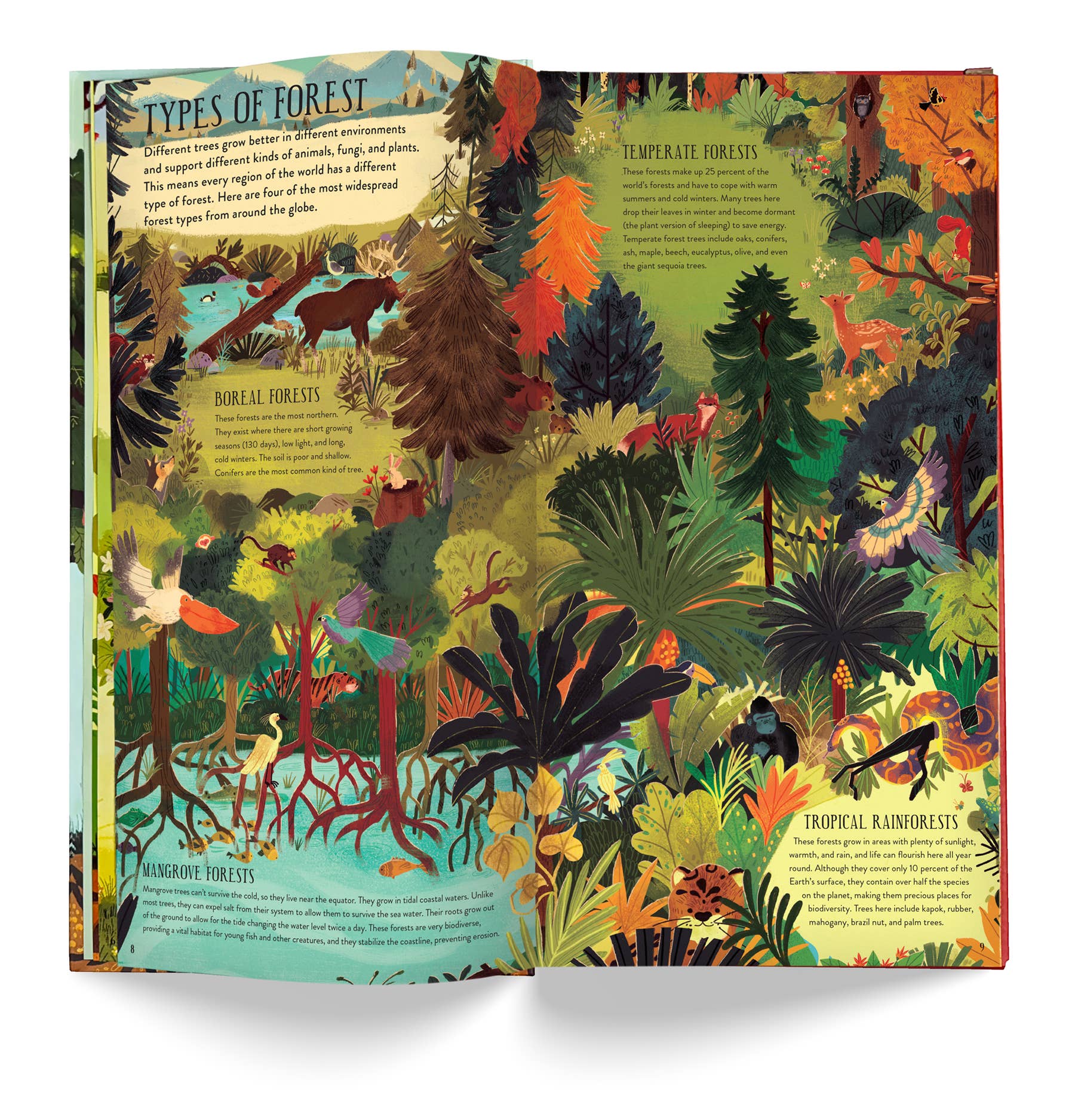 Make and Play: Build a Tree Book