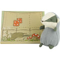 Sooty the Badger in a Tent Box