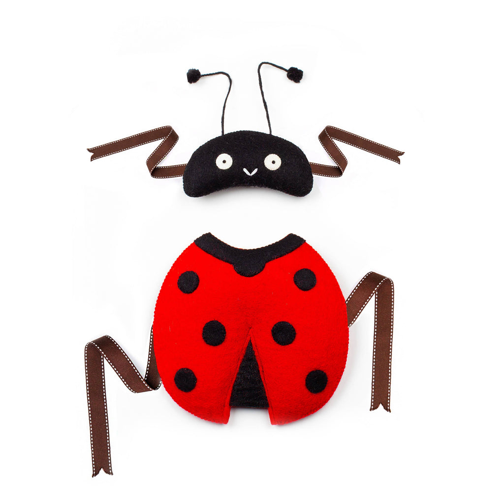 Louise Ladybird Dressing Up Set