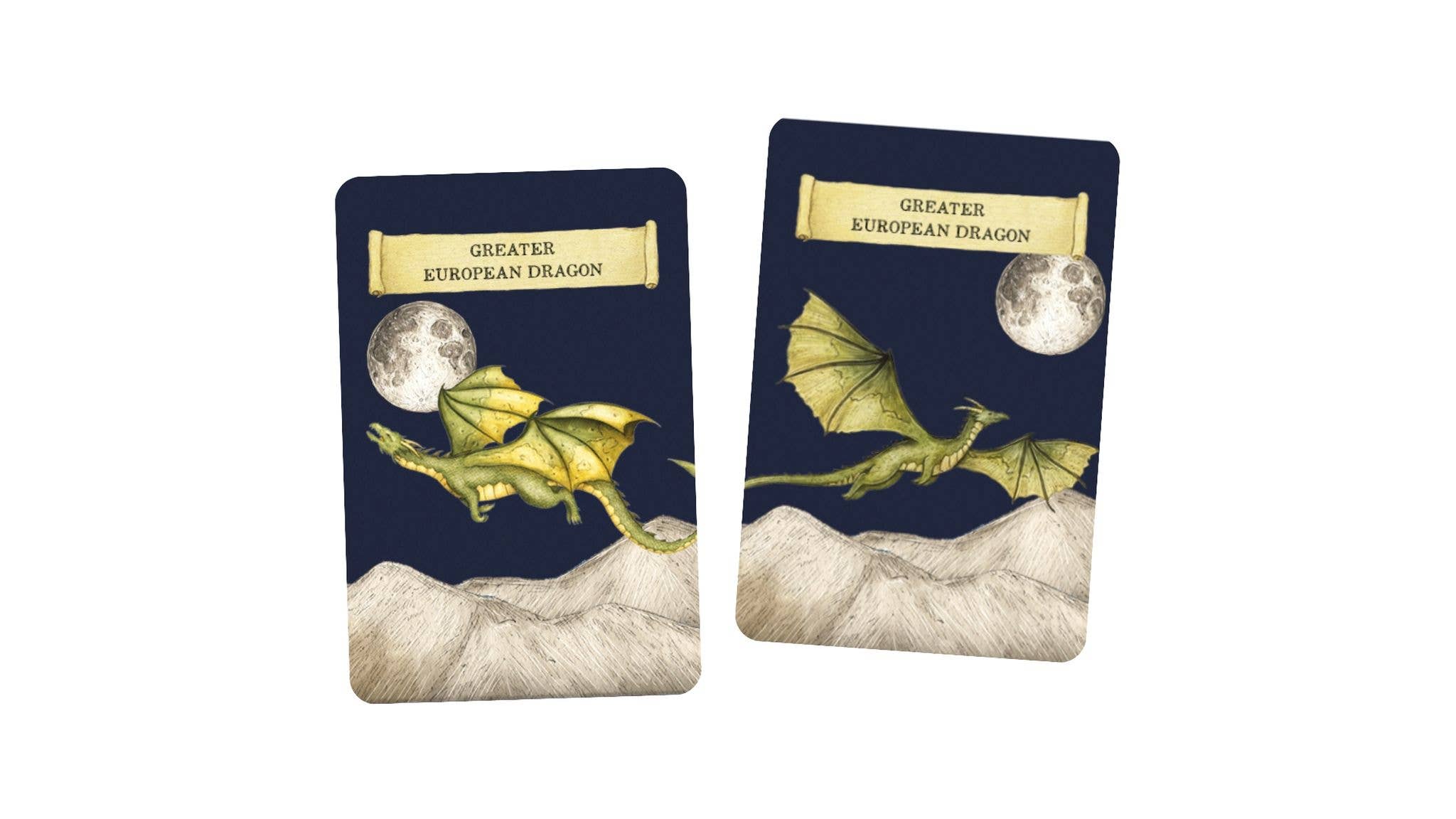 Discover the Dragons Memory Game