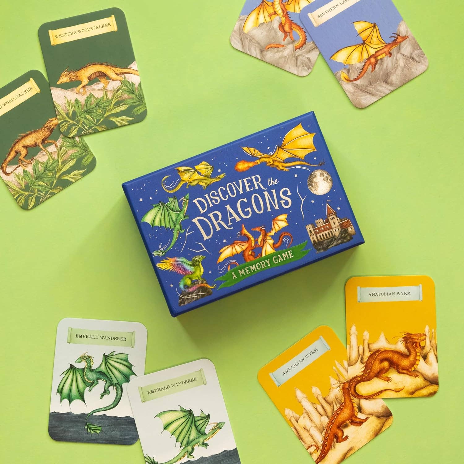 Discover the Dragons Memory Game