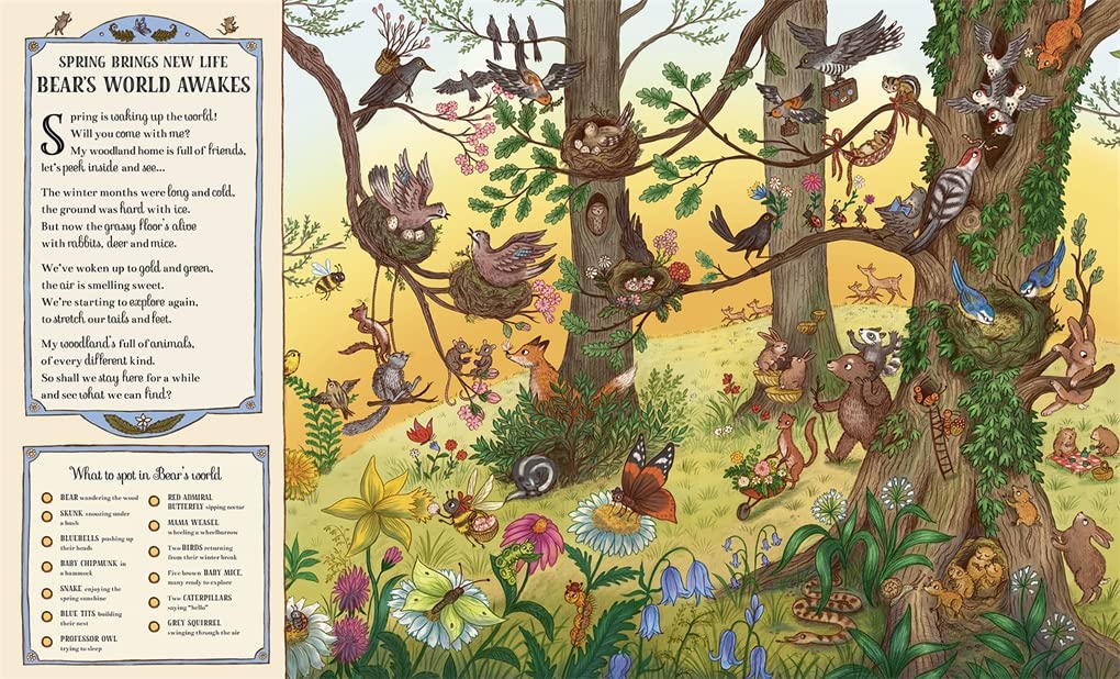 If You Go Down To The Woods, More than 100 Things to Spot by Rachel Piercey and Freya Hartas