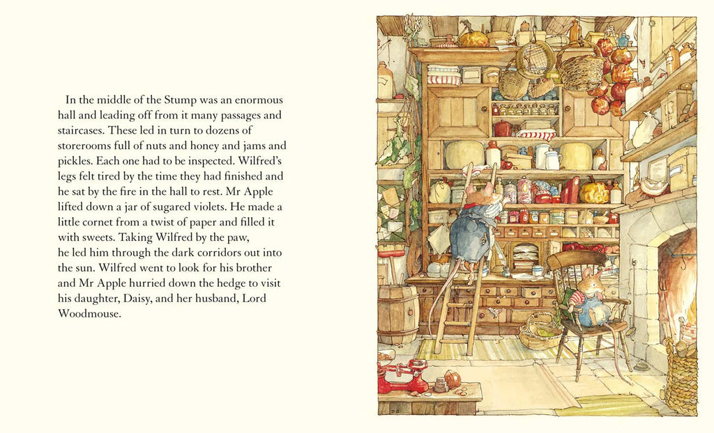 Brambly Hedge Spring Story by Jill Barklem