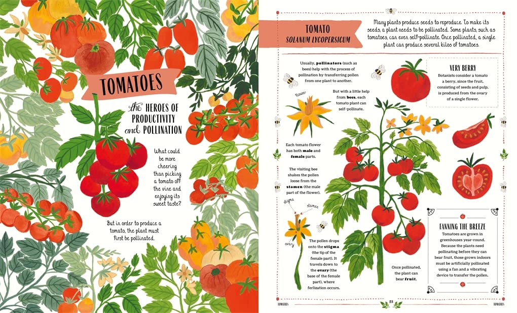 Grow: A first guide to plants and how to grow them, by Riz Reyes