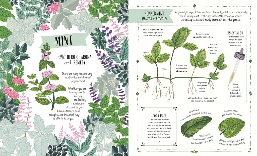 Grow: A first guide to plants and how to grow them, by Riz Reyes