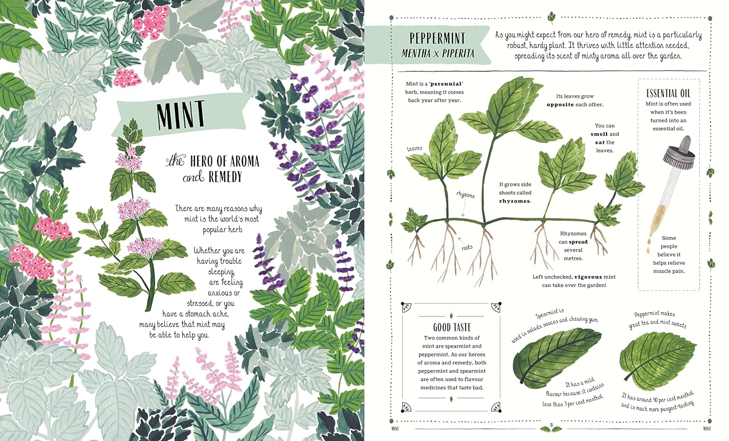 Grow: A first guide to plants and how to grow them, by Riz Reyes