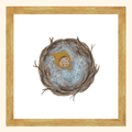  Baby Nest Fine Art Print