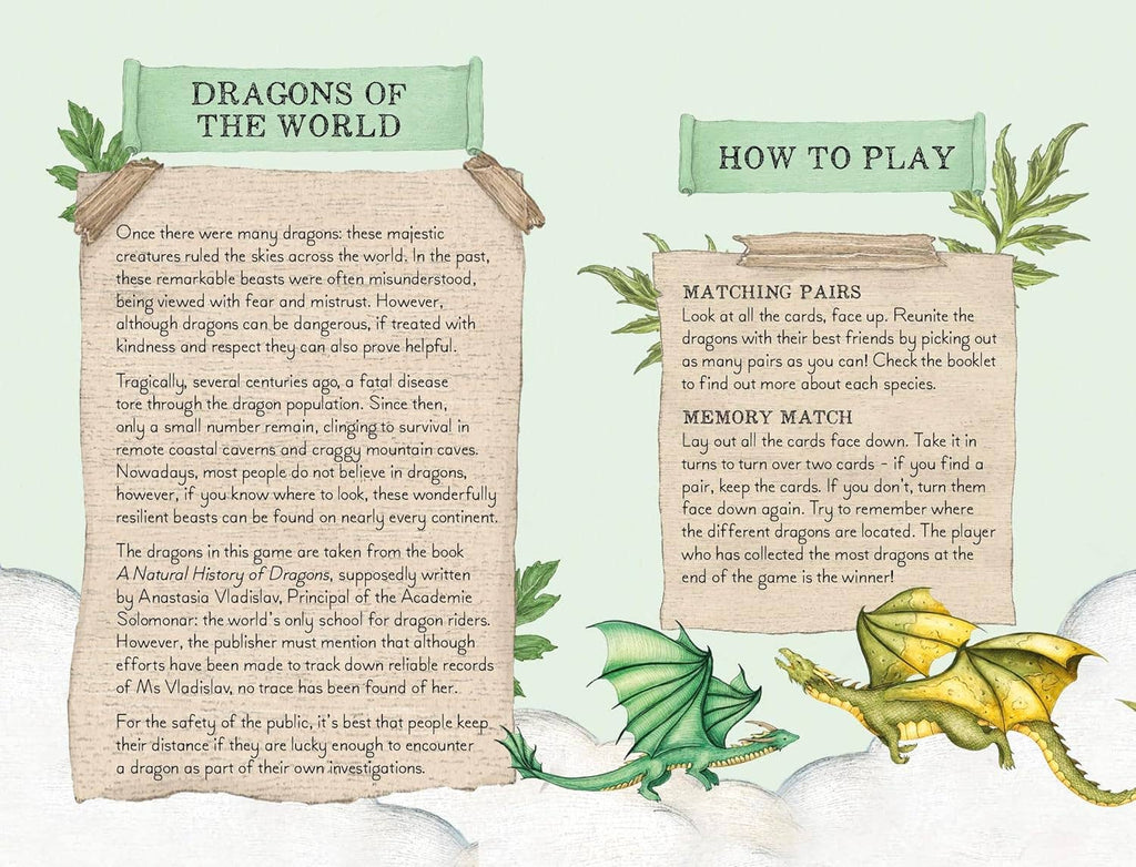 Discover the Dragons Memory Game