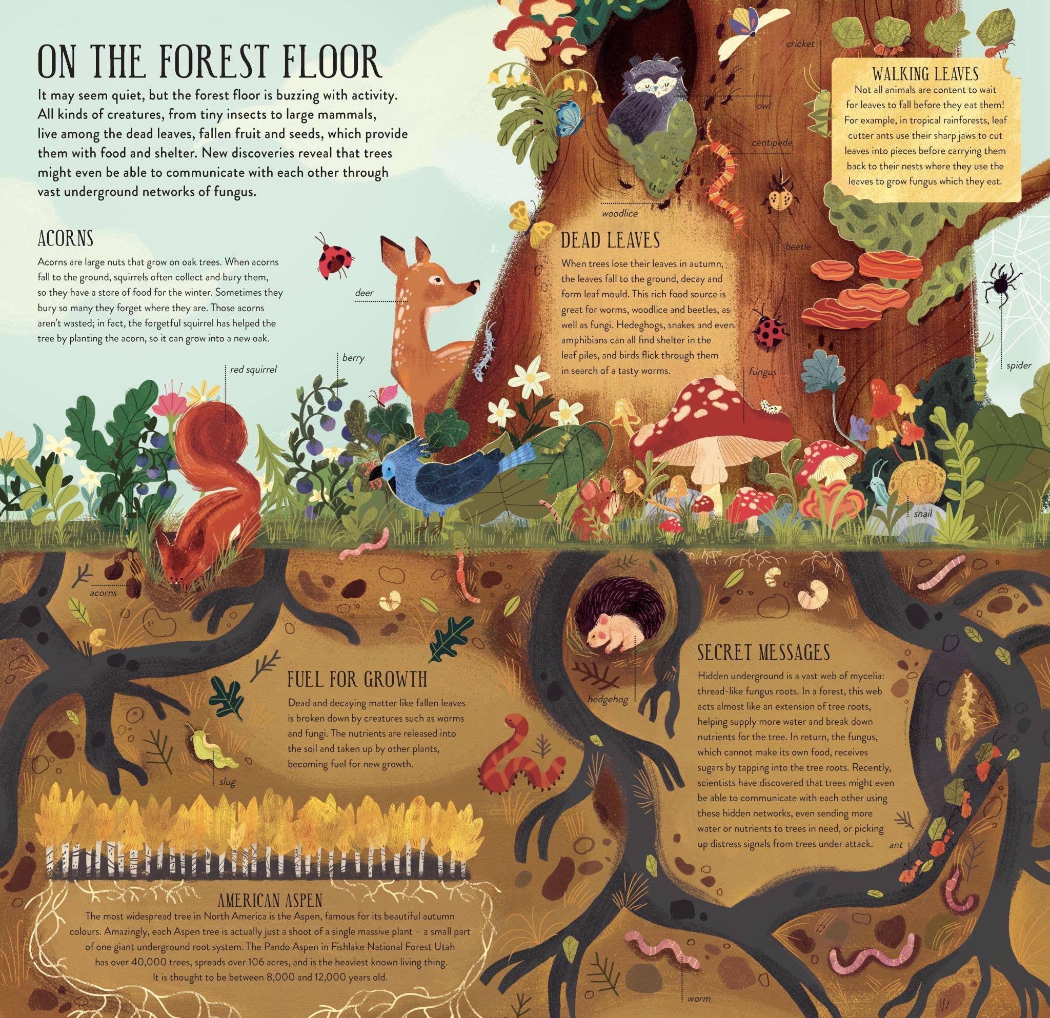 Make and Play: Build a Tree Book