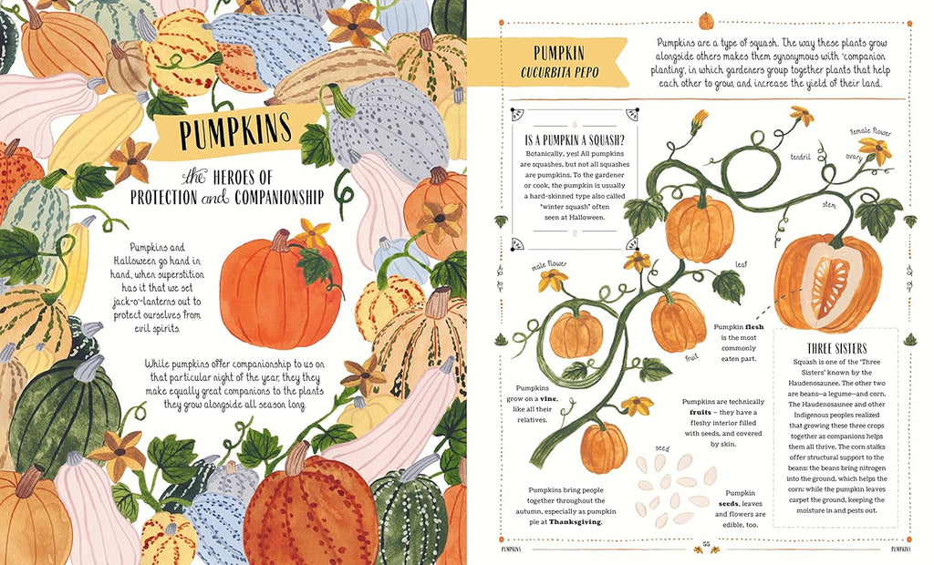 Grow: A first guide to plants and how to grow them, by Riz Reyes