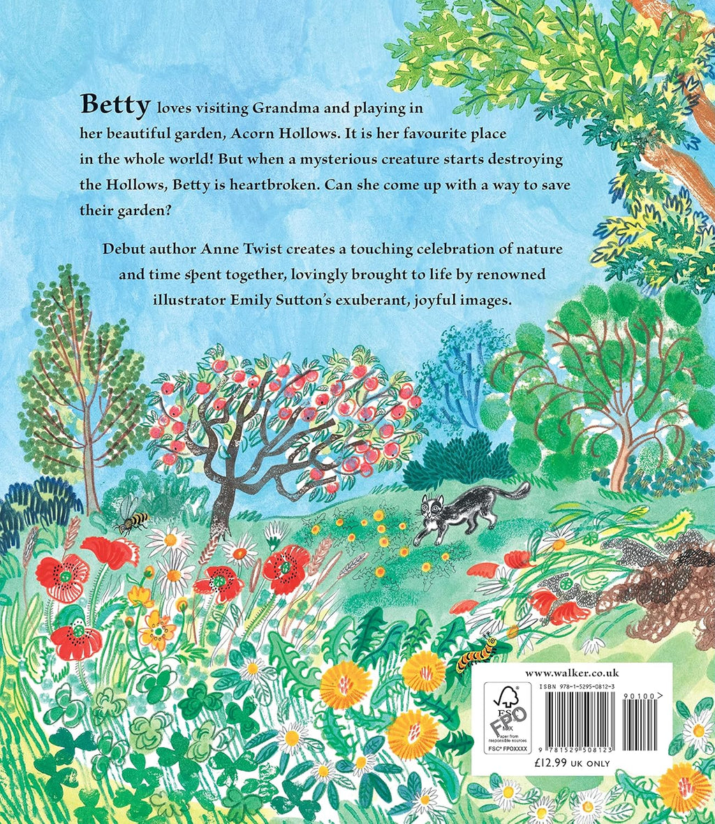 Betty & The Mysterious Visitor, a book by Anne Twist