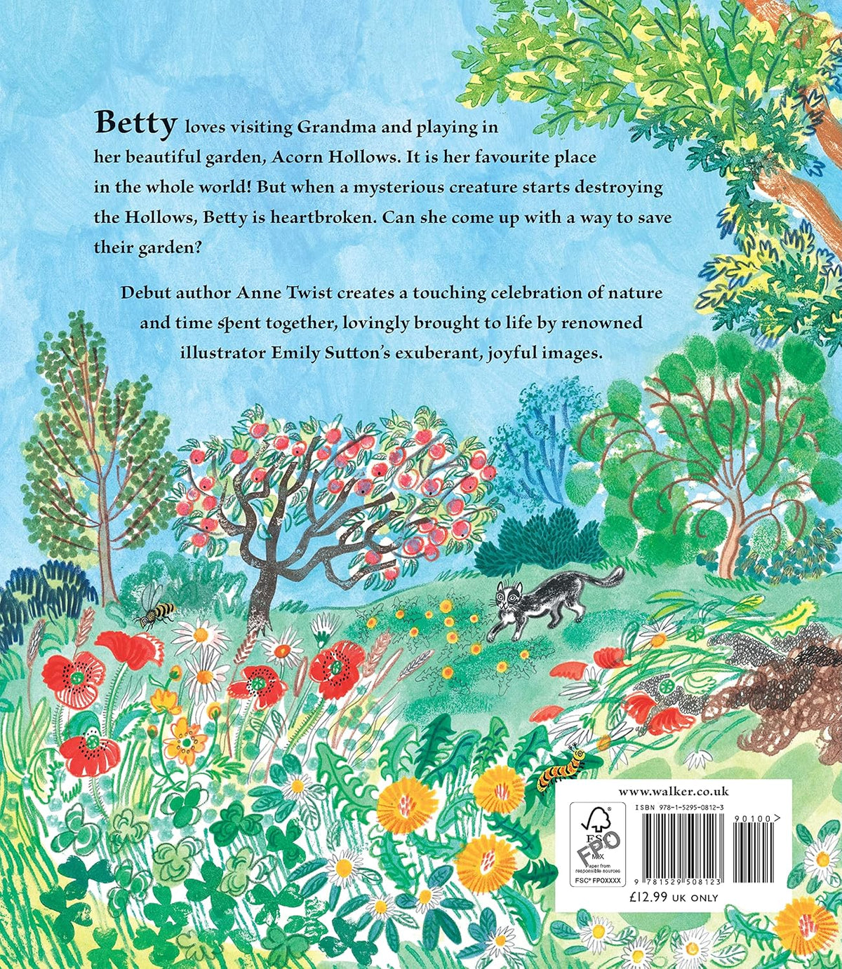 Betty & The Mysterious Visitor, a book by Anne Twist