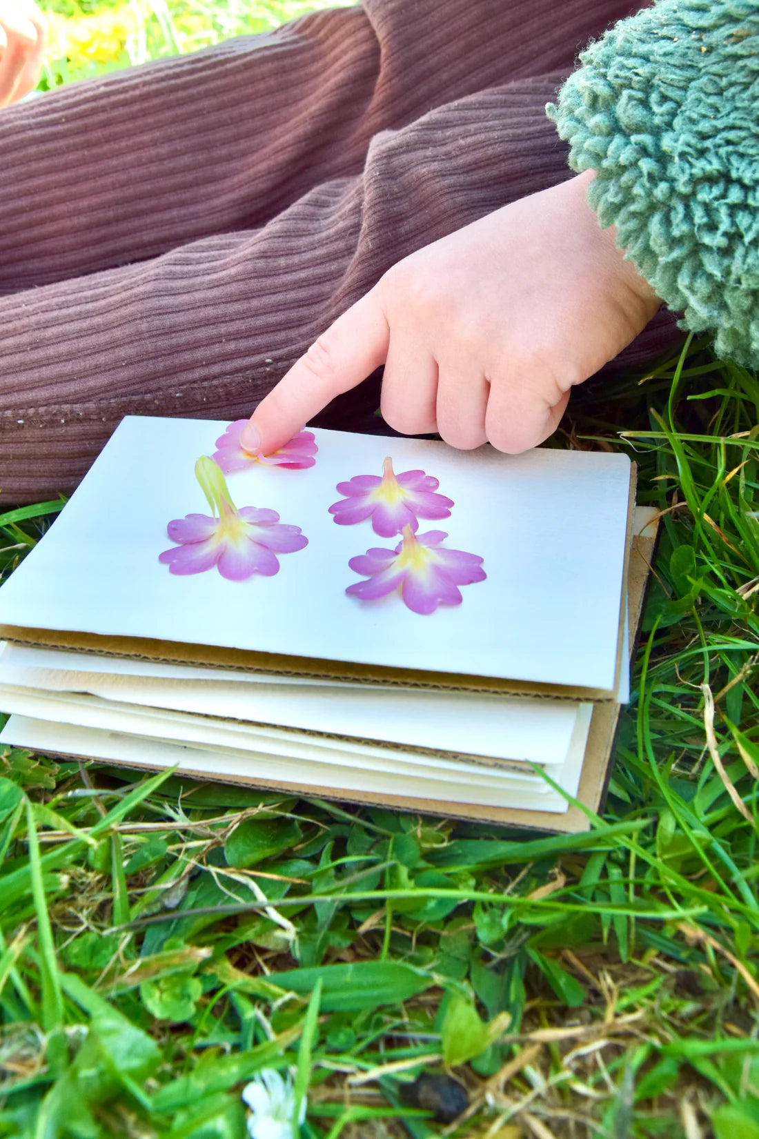Wild Joy Flower Press