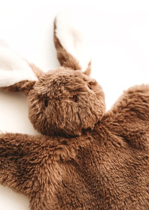 Little Bunny Snuggle Bear