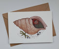 Card with a shell and mermaid illustration on a white background