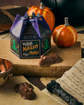 Magic Chocolate Frog