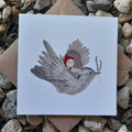Illustration of a bird carrying a girl with a red hood on a white card, surrounded by stones.