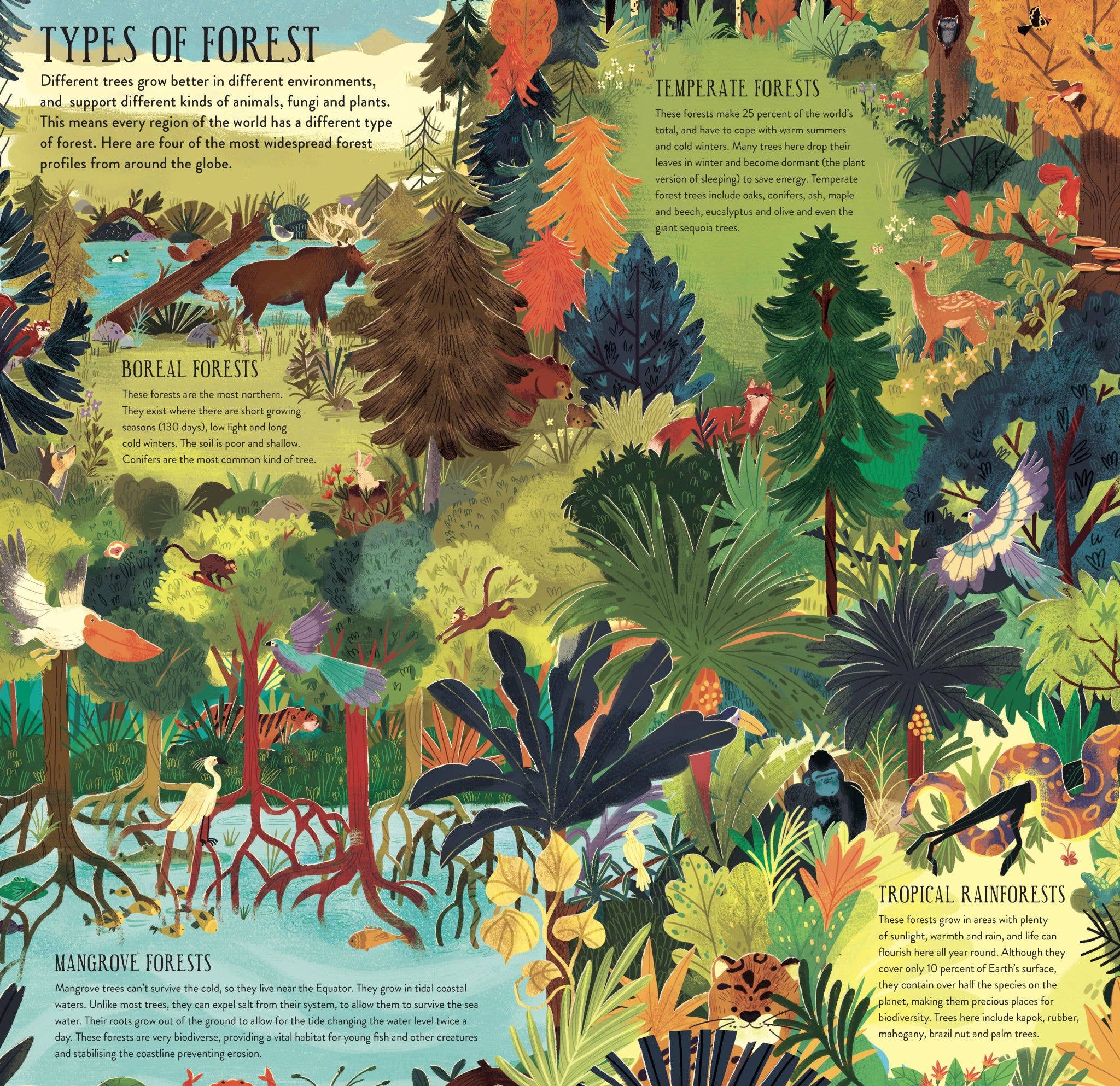 Make and Play: Build a Tree Book