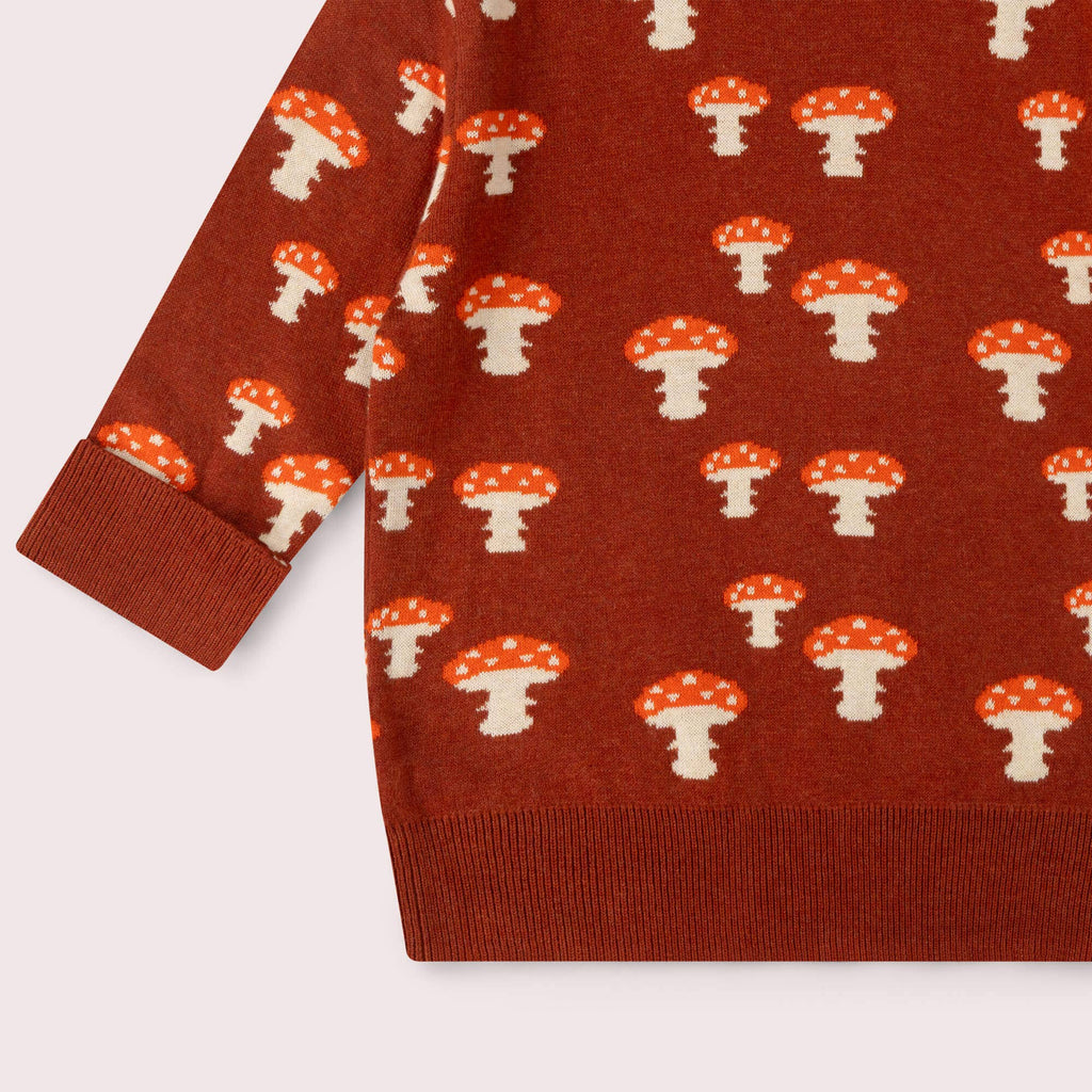 Little Green Radicals - Mushroom Knitted Jumper