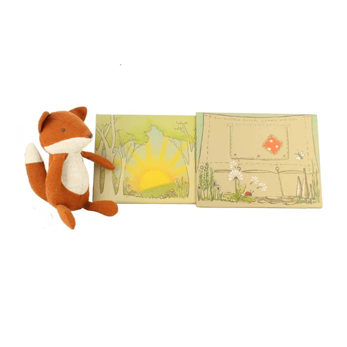 Daisy the Fox in a Tent Box